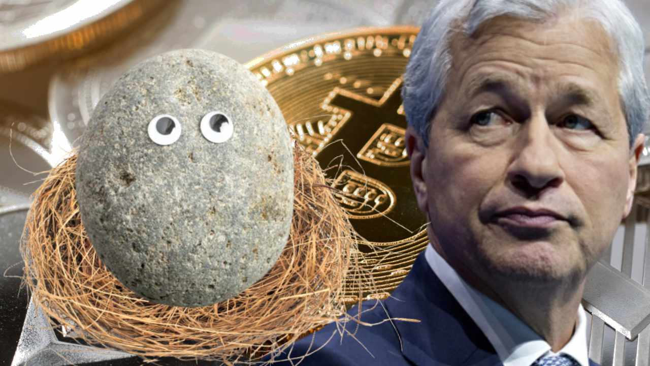 Jamie Dimon, CEO di JPMorgan Chase, paragona le criptovalute a Pet Rocks: chiede una maggiore regolamentazione