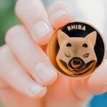 The developers of Shiba Inu (SHIB) project shared some insights into the upcoming Layer 2 project called Shibarium.